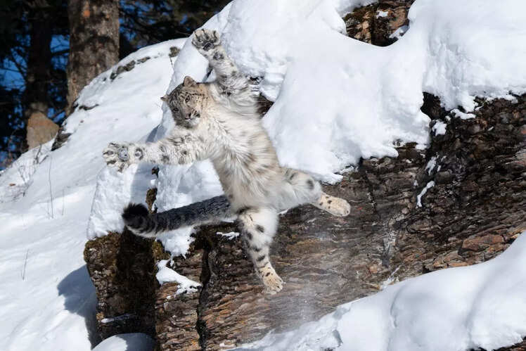 Nanda Devi National Park, Uttarakhand