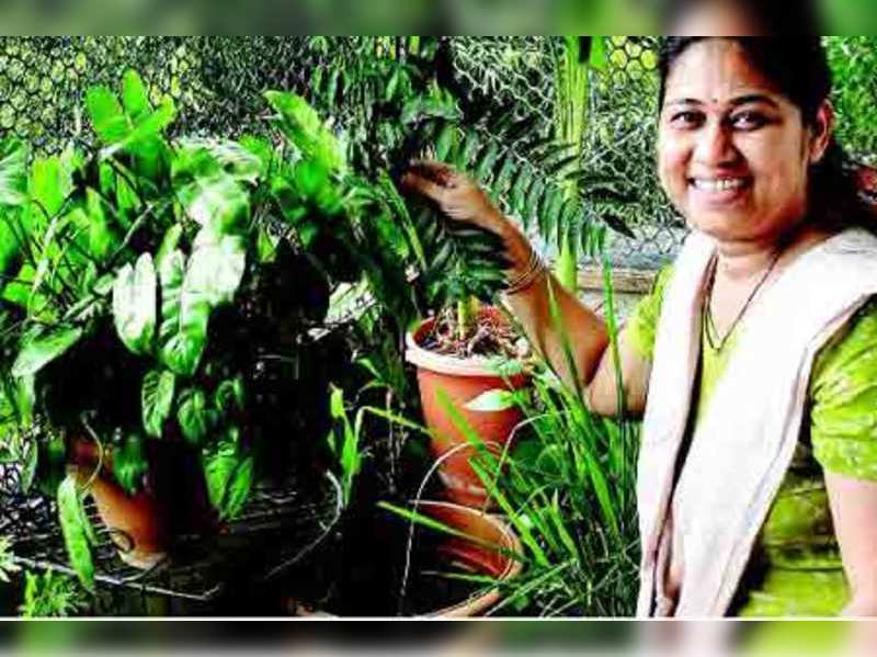 Create Your Own Organic Kitchen Garden Times Of India