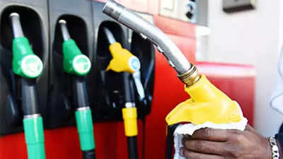 Rajasthan: Bikaner fuel pump dealers call strike