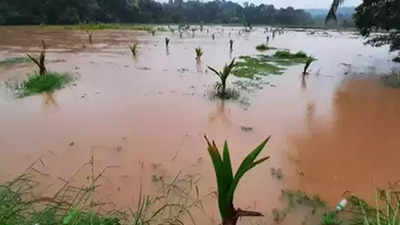 Rain havoc: Opposition slams Kerala govt, minister blames IMD