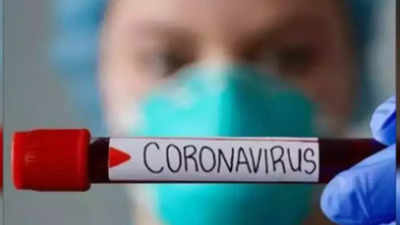 Study finds 'robust' evidence that Covid-19 is seasonal infection ...