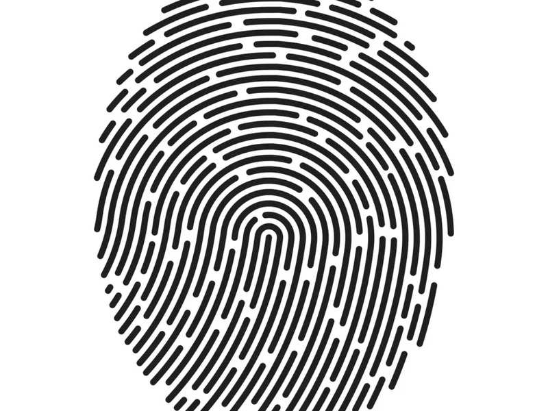 What does your fingerprint say about your personality