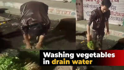 Viral video: Youth washing vegetables in drainage water in Bhopal