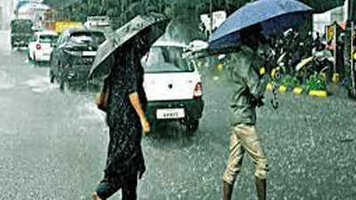Heavy rains cause spike in leptospirosis cases in Ernakulam
