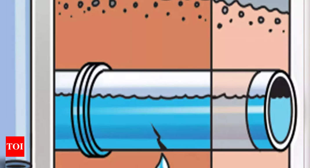 Goa: All 12 talukas have ‘safe’ groundwater levels - Times of India