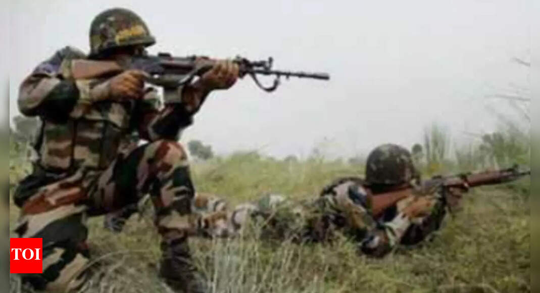 Terrorist, involved in killing of Bihar labourers, shot dead in J&K