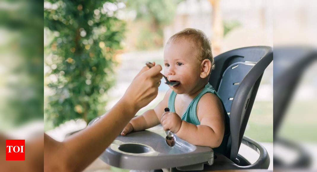 Booster Seat For Babies Make Mealtime Fun Time Your Little Ones Most Searched Products Times Of India - Best Baby Booster Seats For Eating Booster Seat For Babies Make Mealtime Fun Time Your Little Ones Most Searched Products Times Of India - Best Baby Booster Seats For Eating