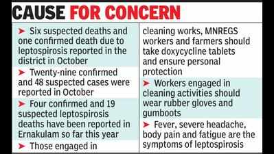 Heavy rains cause spike in leptospirosis cases in Ekm