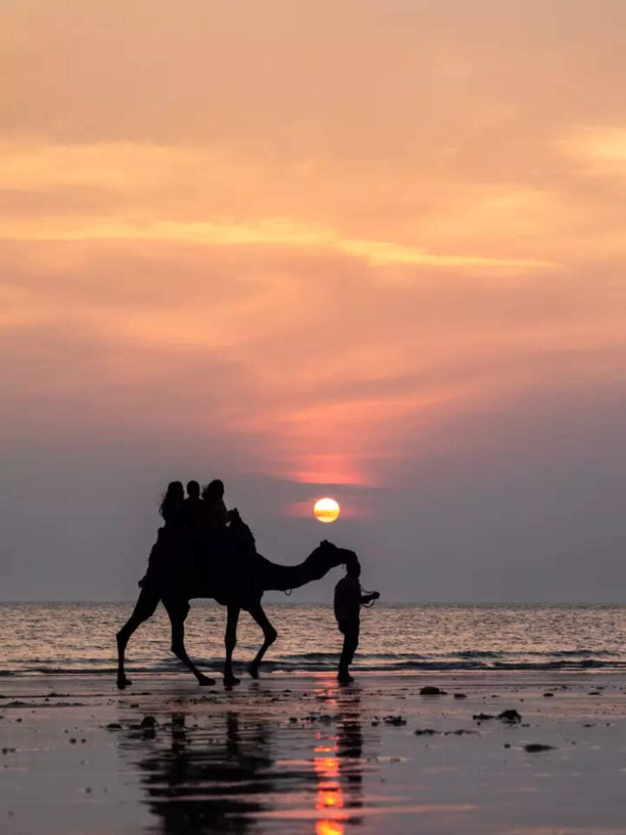 WHY YOU SHOULD VISIT GUJARAT INDIA intelligence overview