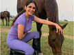 
Alankrita Sahai: I love horses, I enjoy their company, affection and intelligence
