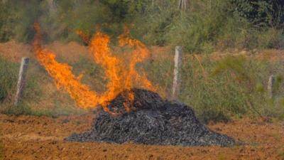 GRAP measures in place, but waste burning rampant in Gurugram