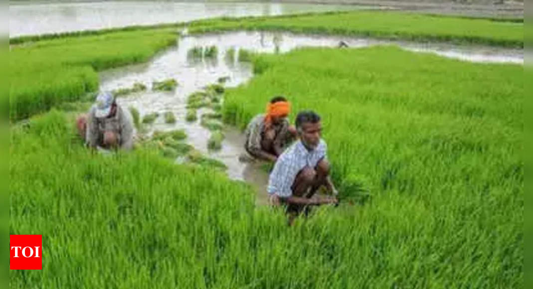 Farmer Suicides Fall 13% In Andhra Pradesh, But State Occupies Third ...