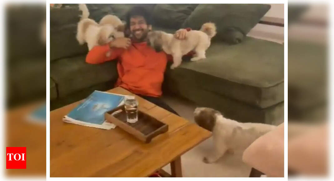 Kartik Aaryan shares a cute video with his furry friends; calls it ...
