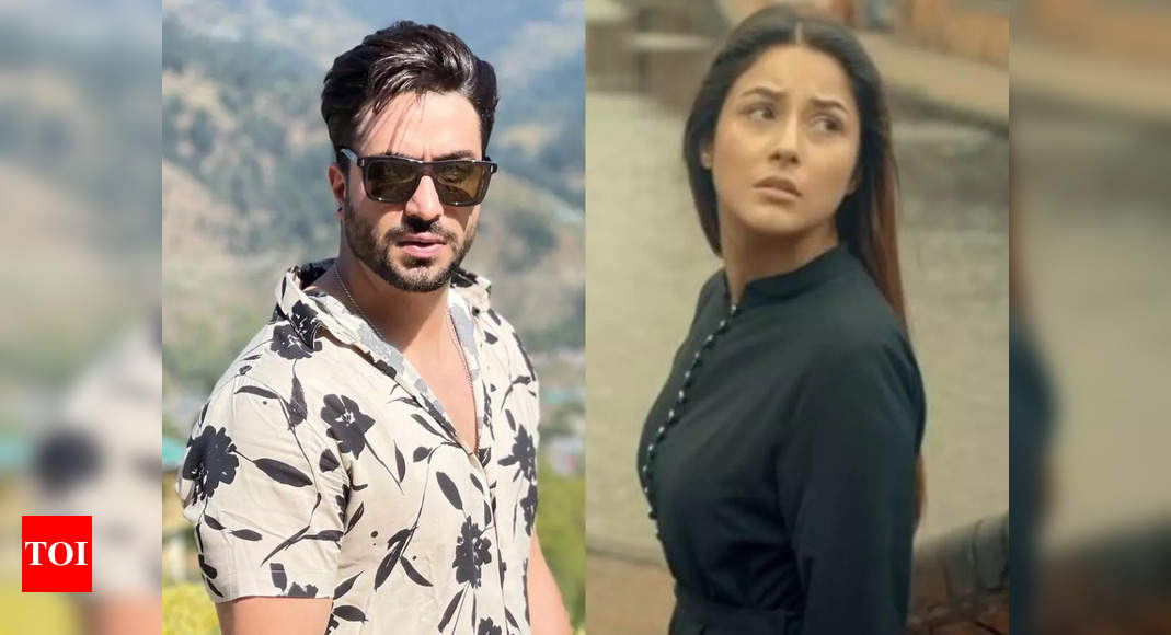 Aly Goni comes out in support of Shehnaaz Gill; says she has all the right to pay tribute to Sidharth Shu