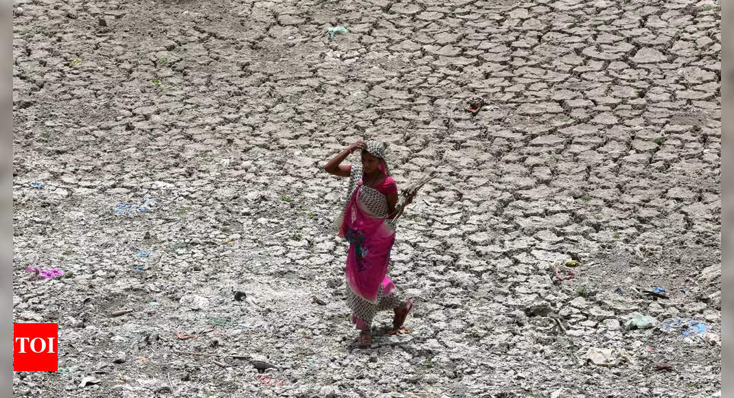, Last seven years on track to be hottest on record: UN, The World Live Breaking News Coverage & Updates IN ENGLISH