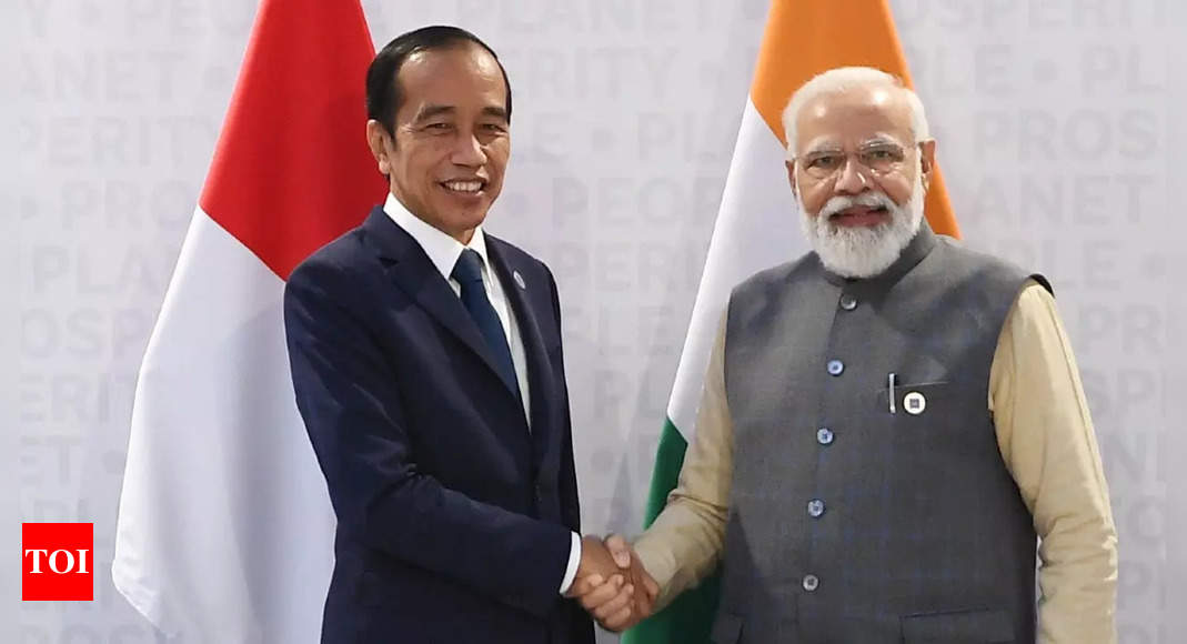 Il primo ministro Modi discute di una partnership strategica ed economica con il presidente indonesiano Widodo