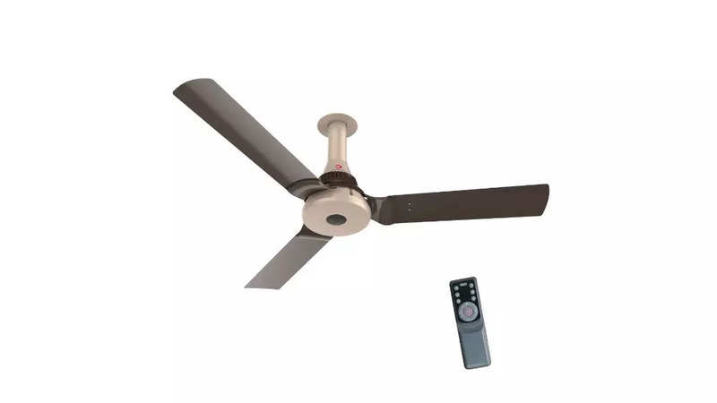 Blade Remote Control Ceiling Fan, Ceiling Fan Vacuum