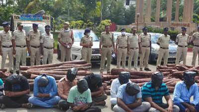 Anantapur police seize 3.3 tons of RS logs, 19 smugglers arrested