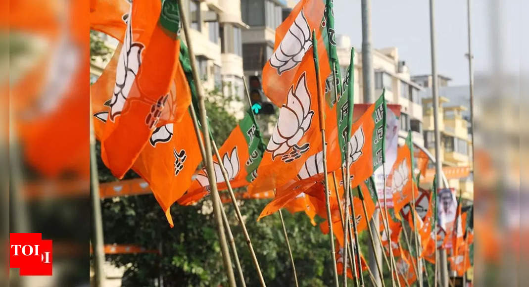 Madhya Pradesh Bypolls: BJP Snatches Jobat (ST) Assembly Seat From ...