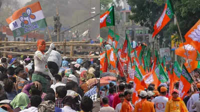 Mamata Banerjee demolishes BJP in Bengal; Himanta Biswa Sarma, Nitish Kumar and NDA allies salvage reputation elsewhere