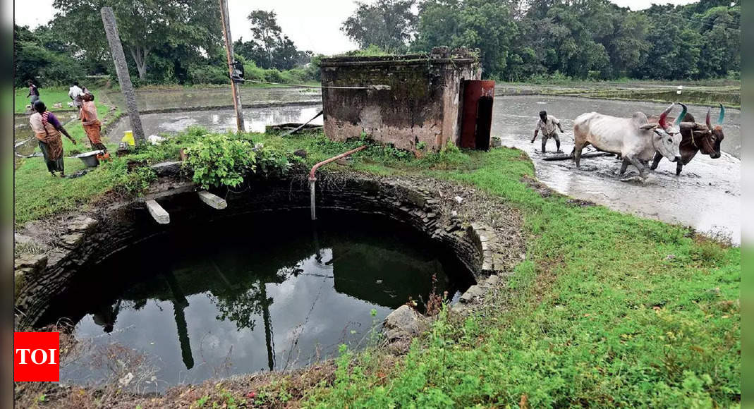 recharging-groundwater-only-way-to-slake-tamil-nadu-s-thirst-chennai