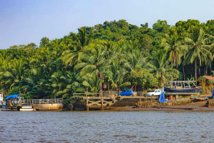 Chorao Island, Goa