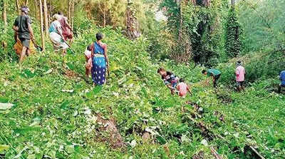Visakhapatnam: No roads to 1,800 tribal villages in agency area
