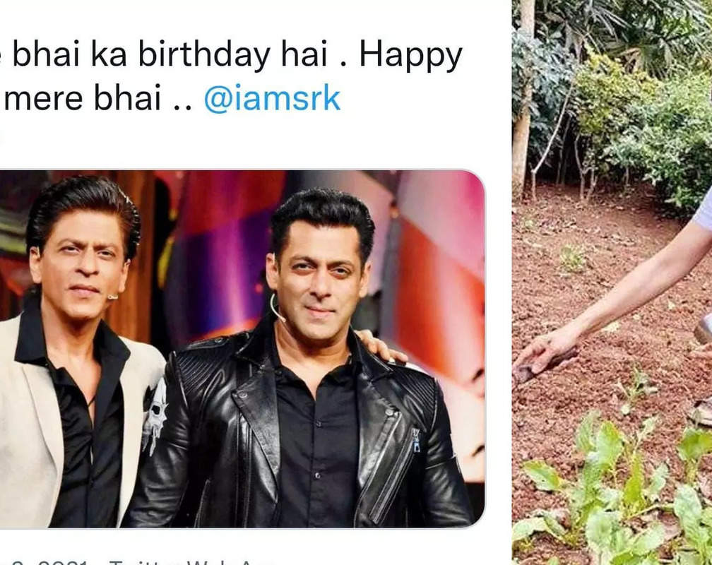 
Salman Khan's heartfelt wish for 'bhai' Shah Rukh Khan melts hearts, Juhi Chawla pledges to plant 500 trees in SRK's name

