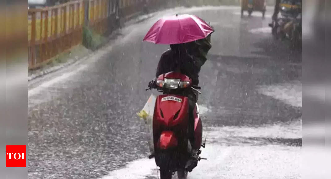 Moderate rain, cloudy skies likely today in TN: IMD