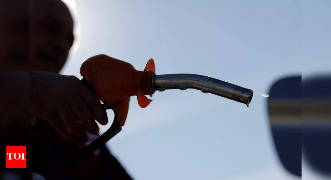Cut in fuel excise duty to cost govt Rs 45k cr Report Times of India