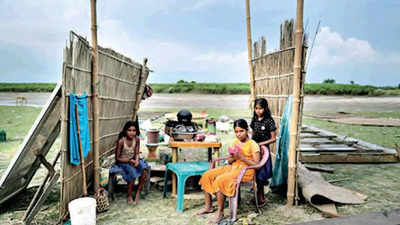 Dholpur displaced 'encroachers', says Assam government to high court