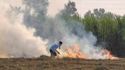 Stubble burning hits peak in Punjab