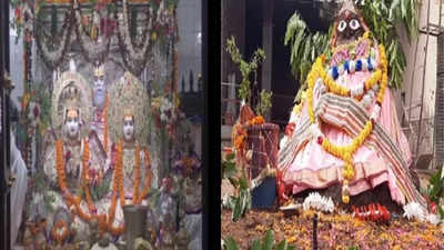 Govardhan, Annakut celebrated in UP's Ayodhya, Aligarh