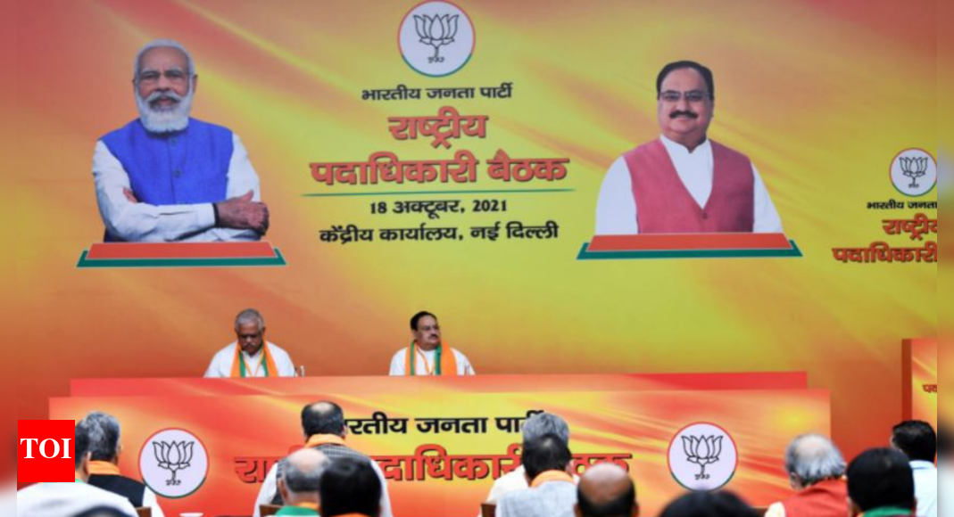 Farm stir, inflation to top agenda at BJP key meet today