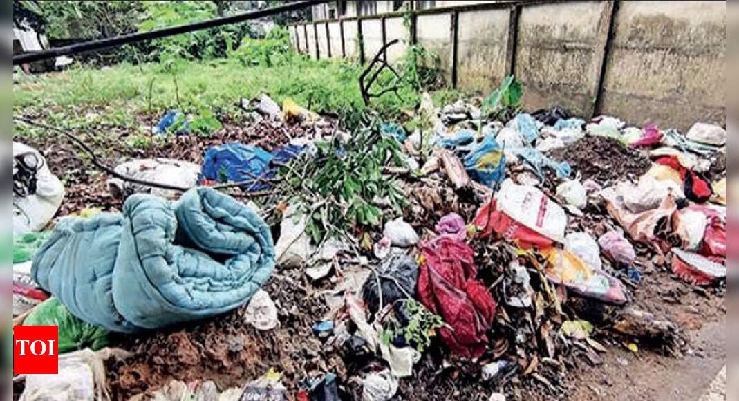 Waste Kochi Waste dumping raises risk of communicable diseases