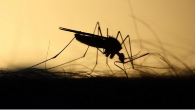 BHU researchers claim key finding in Zika virus treatment