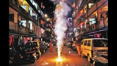 Stray dog’s limb blown off by Diwali fire cracker