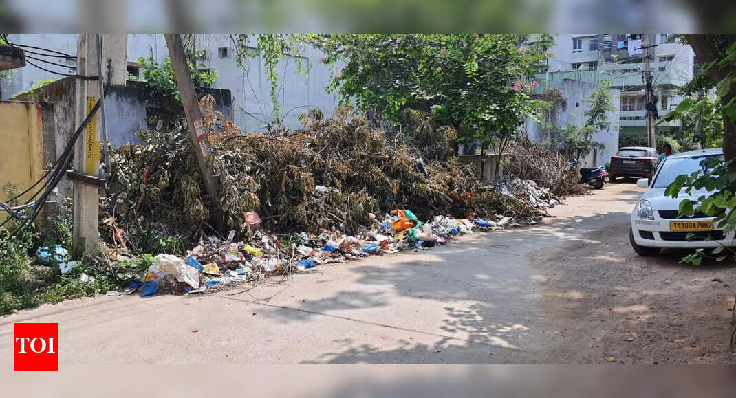 Uncleared Garbage - Times of India