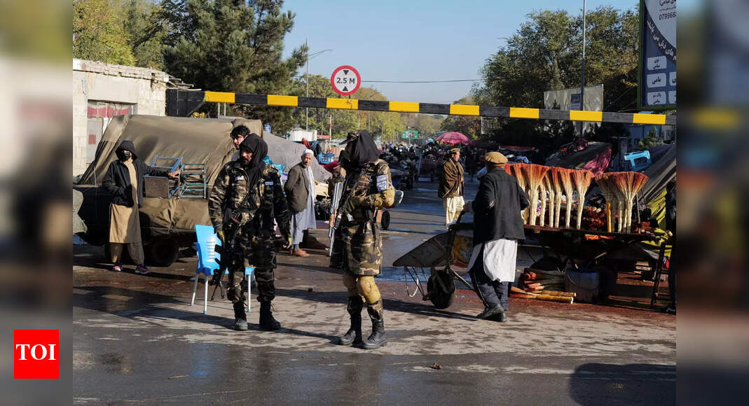 Times of India » World News