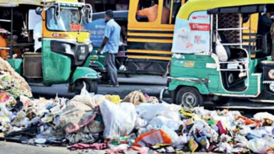 Trash piles get bigger across Jaipur post Diwali, residents blame civic bodies