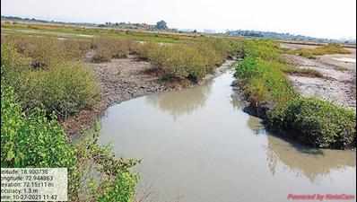 Panje wetland will choke no more, authorities restore tidal water flow
