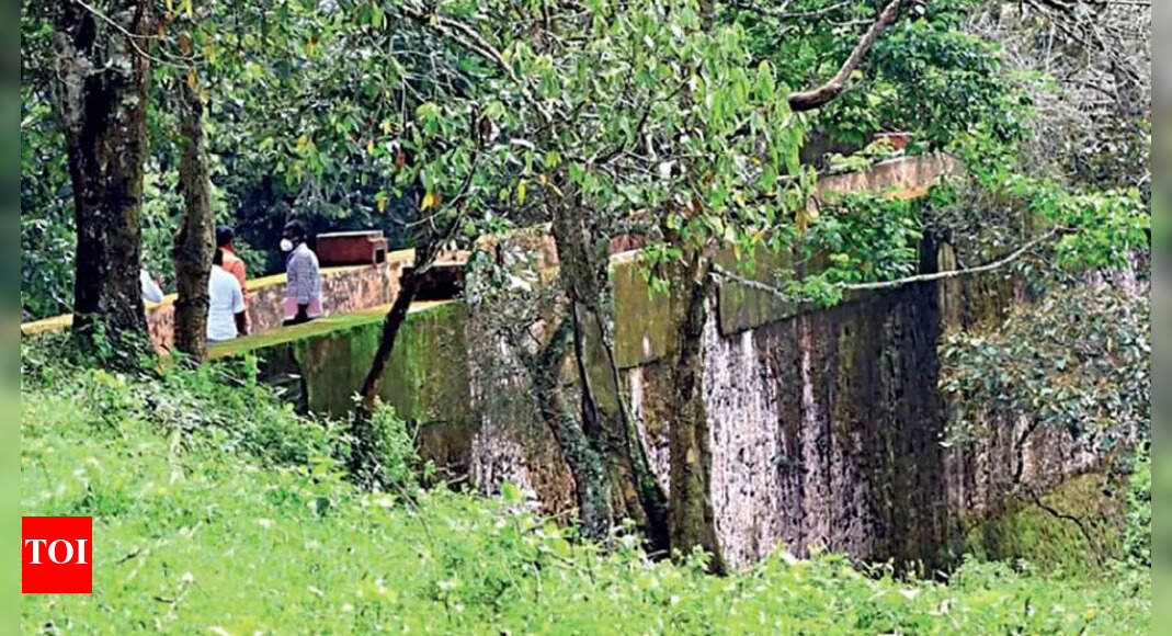 Tree felling at Mullaperiyar: Tamil Nadu, Kerala officials held joint survey