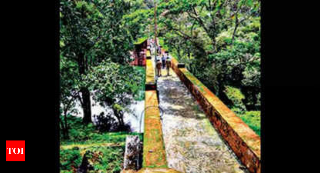 Kerala govt cancels tree-felling order; panel to decide on water disputes