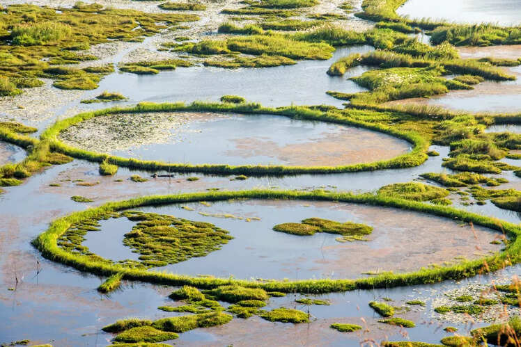 Loktak Lake, Manipur