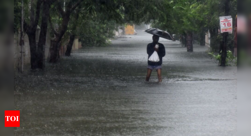 Tamil Nadu Rains: Tamil Nadu Receives 56% Excess Rainfall In Northeast ...