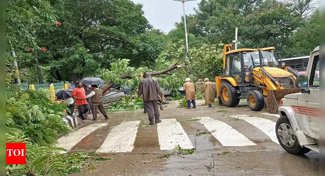 Rain in Andhra Pradesh: Landslides and trees uprooting due to heavy ...