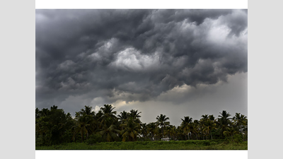 #KeralaFloods- 'Don’t romanticise the rain; take corrective action'