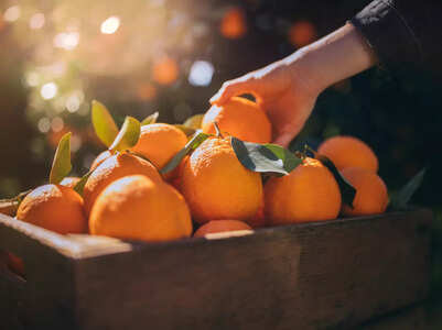 Can eating too many oranges lead to side effects?
