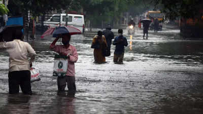 Chennai rain: When small plastic covers played a role in inundating city streets