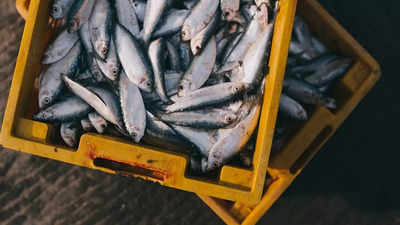 India rejects WTO text for fisheries pact